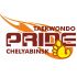 Логотип для taekwondo PRIDE chelyabinsk - дизайнер jemaks