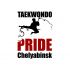 Логотип для taekwondo PRIDE chelyabinsk - дизайнер Hofhund