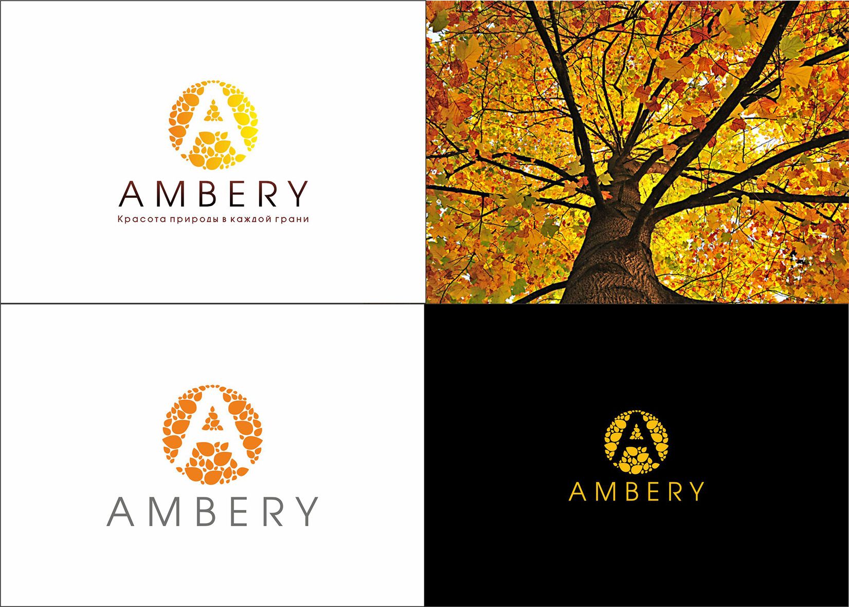 Логотип для Ambery - дизайнер yano4ka