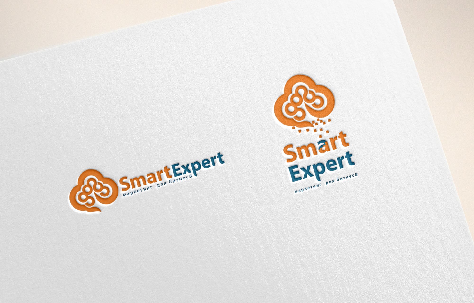 Логотип для SmartExpert - дизайнер djmirionec1