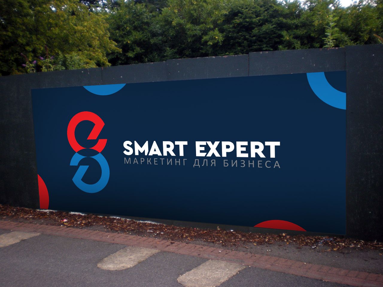 Логотип для SmartExpert - дизайнер VF-Group