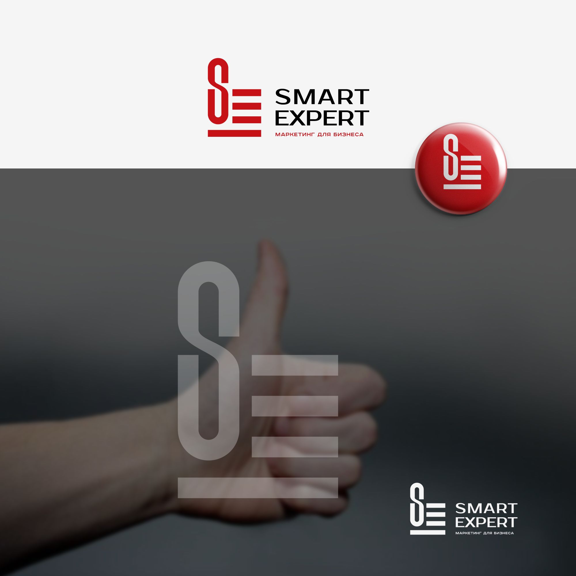 Логотип для SmartExpert - дизайнер mz777