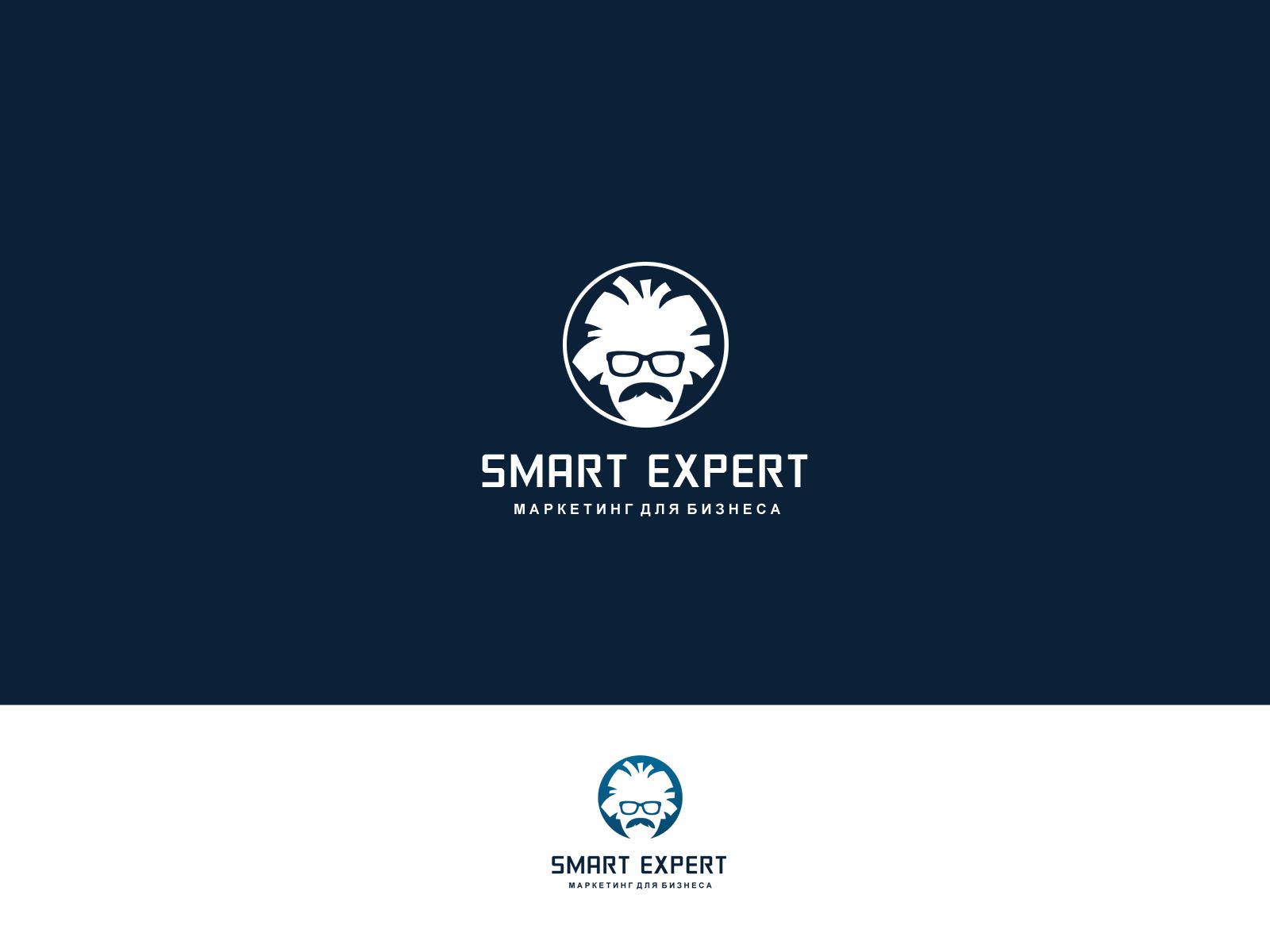 Логотип для SmartExpert - дизайнер webgrafika