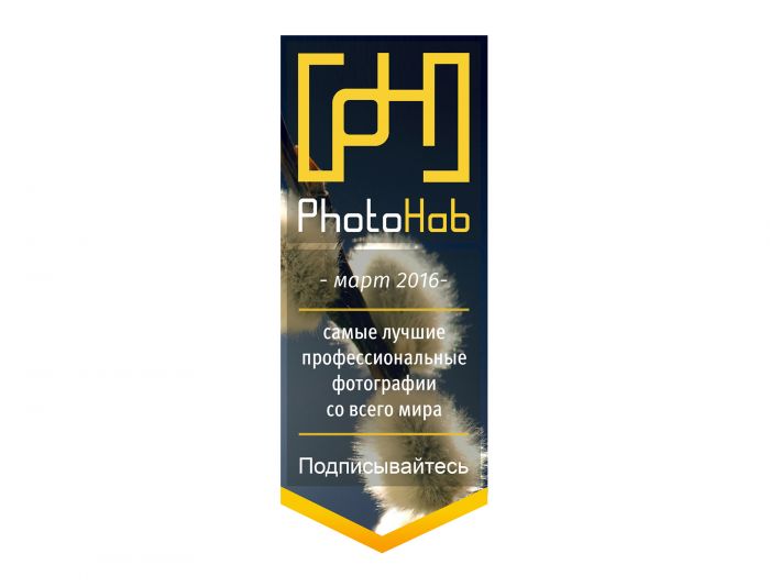 Логотип для PhotoHub - дизайнер katarin