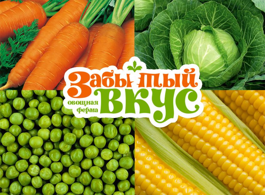 Лого и фирменный стиль для Овощная ферма Забытый Вкус - дизайнер Malica