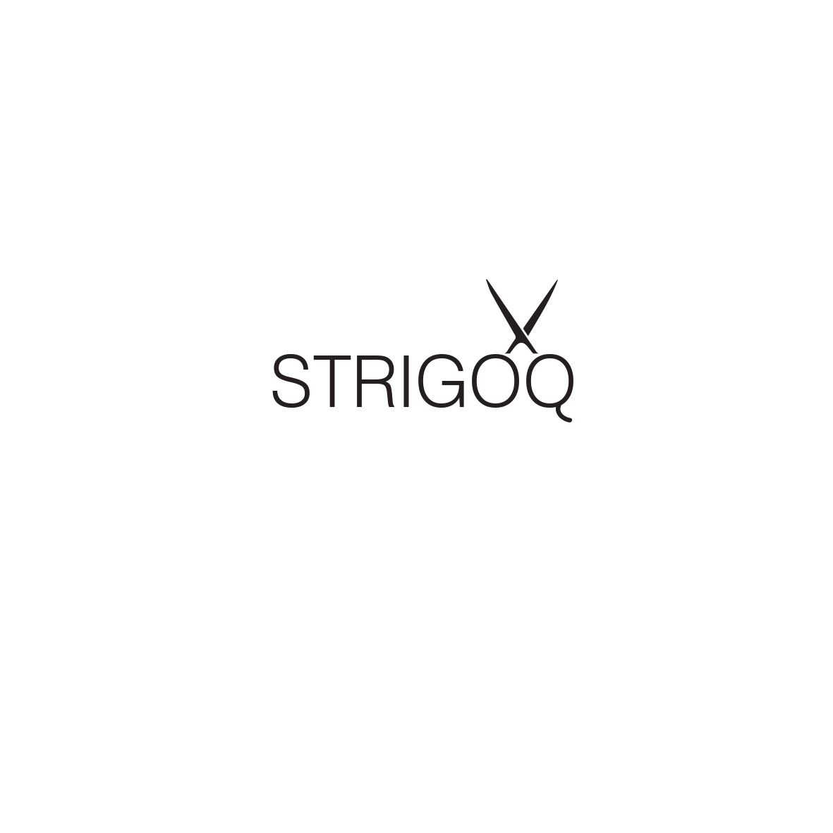 Лого и фирменный стиль для Strigoo - дизайнер smoroz