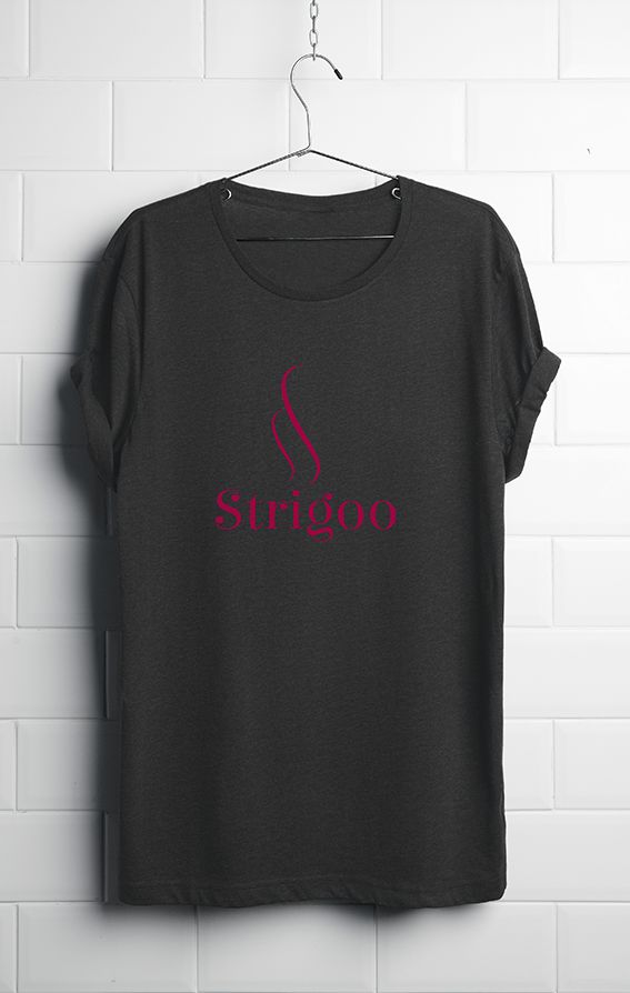 Лого и фирменный стиль для Strigoo - дизайнер olegcoada