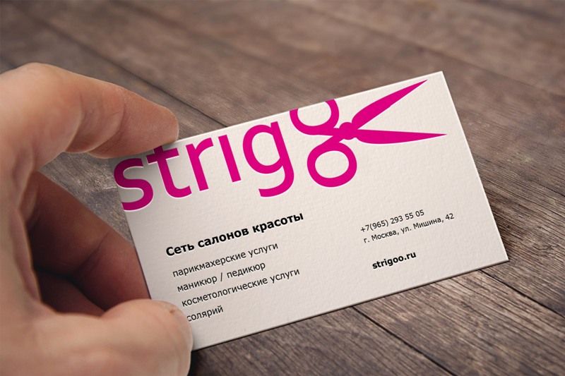 Лого и фирменный стиль для Strigoo - дизайнер karry87
