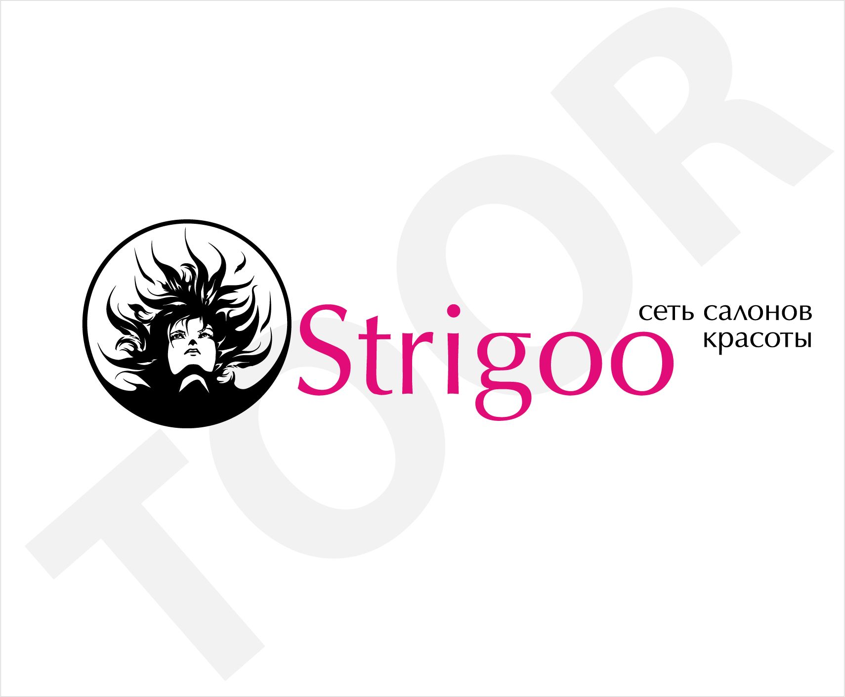 Лого и фирменный стиль для Strigoo - дизайнер Toor