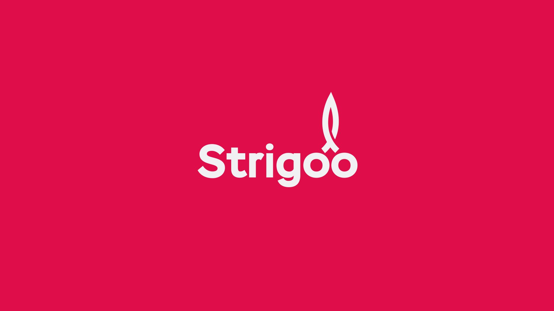 Лого и фирменный стиль для Strigoo - дизайнер drawmedead