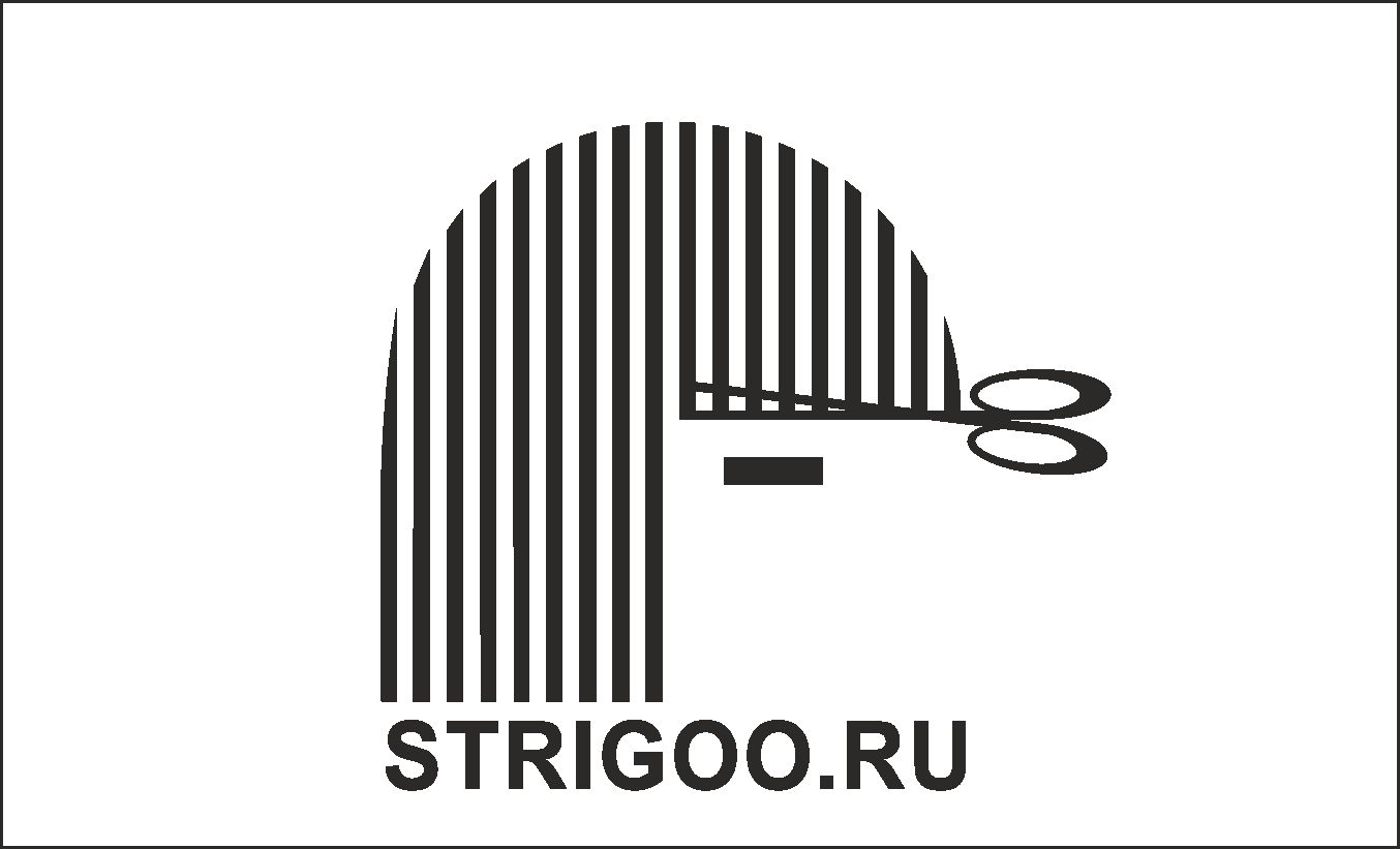 Лого и фирменный стиль для Strigoo - дизайнер muhametzaripov