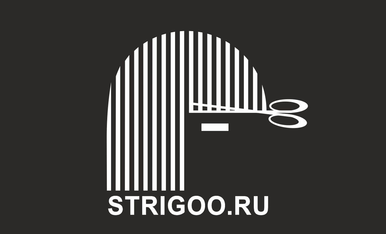 Лого и фирменный стиль для Strigoo - дизайнер muhametzaripov