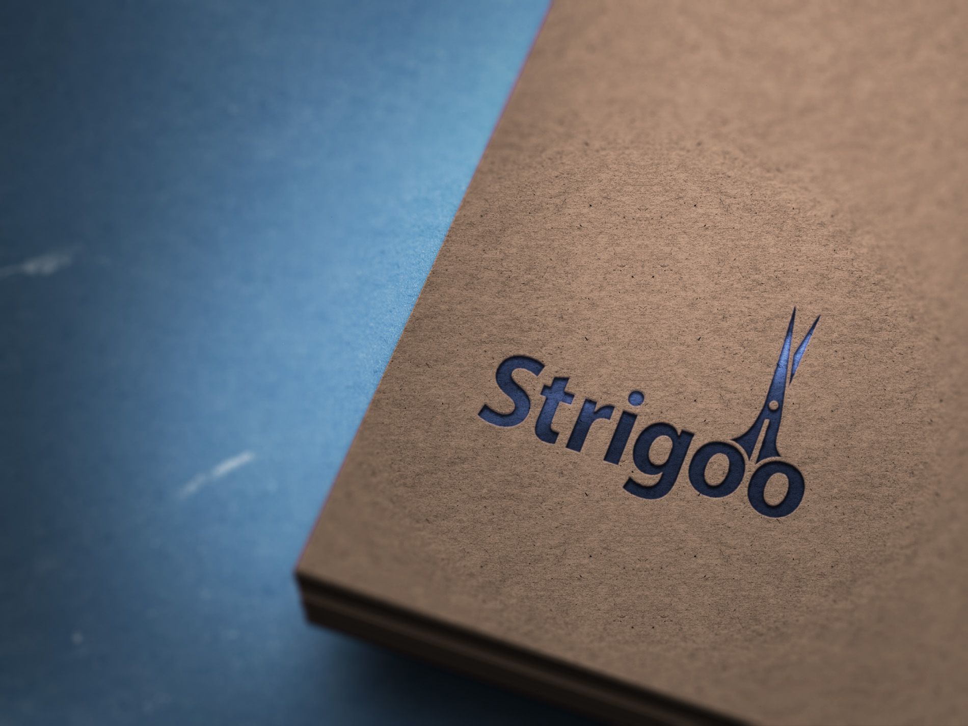 Лого и фирменный стиль для Strigoo - дизайнер Zheravin