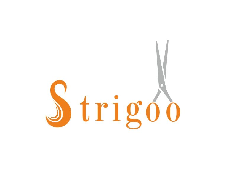 Лого и фирменный стиль для Strigoo - дизайнер 9455776S
