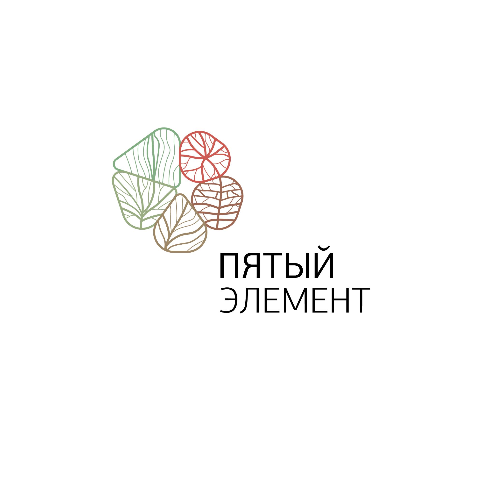 Логотип для Пятый элемент - дизайнер olazhko