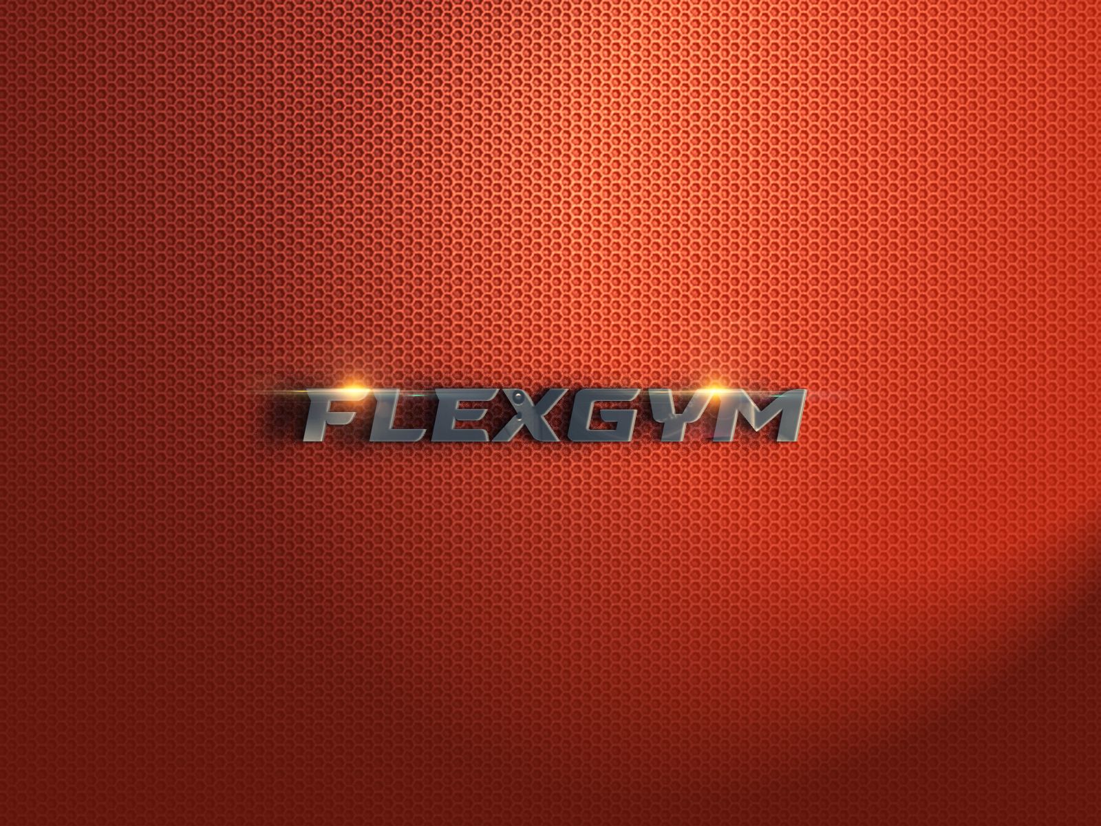 Логотип для FLEX GYM - дизайнер bodriq