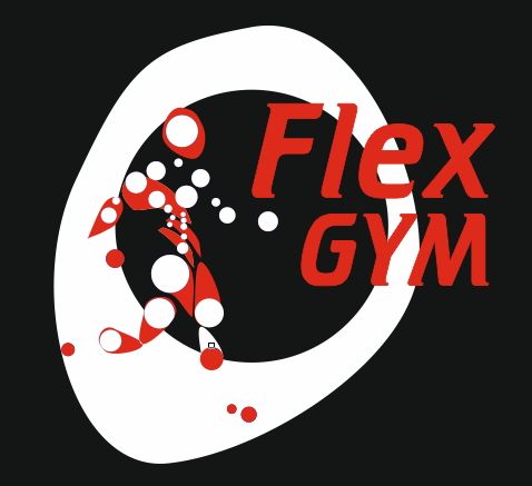 Логотип для FLEX GYM - дизайнер Vd51