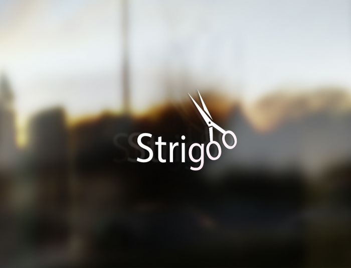 Лого и фирменный стиль для Strigoo - дизайнер comicdm