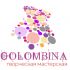 Логотип для Творческая мастерская Colombina - дизайнер Vd51