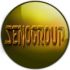 Логотип для SENOGROUP - дизайнер AlisCherly
