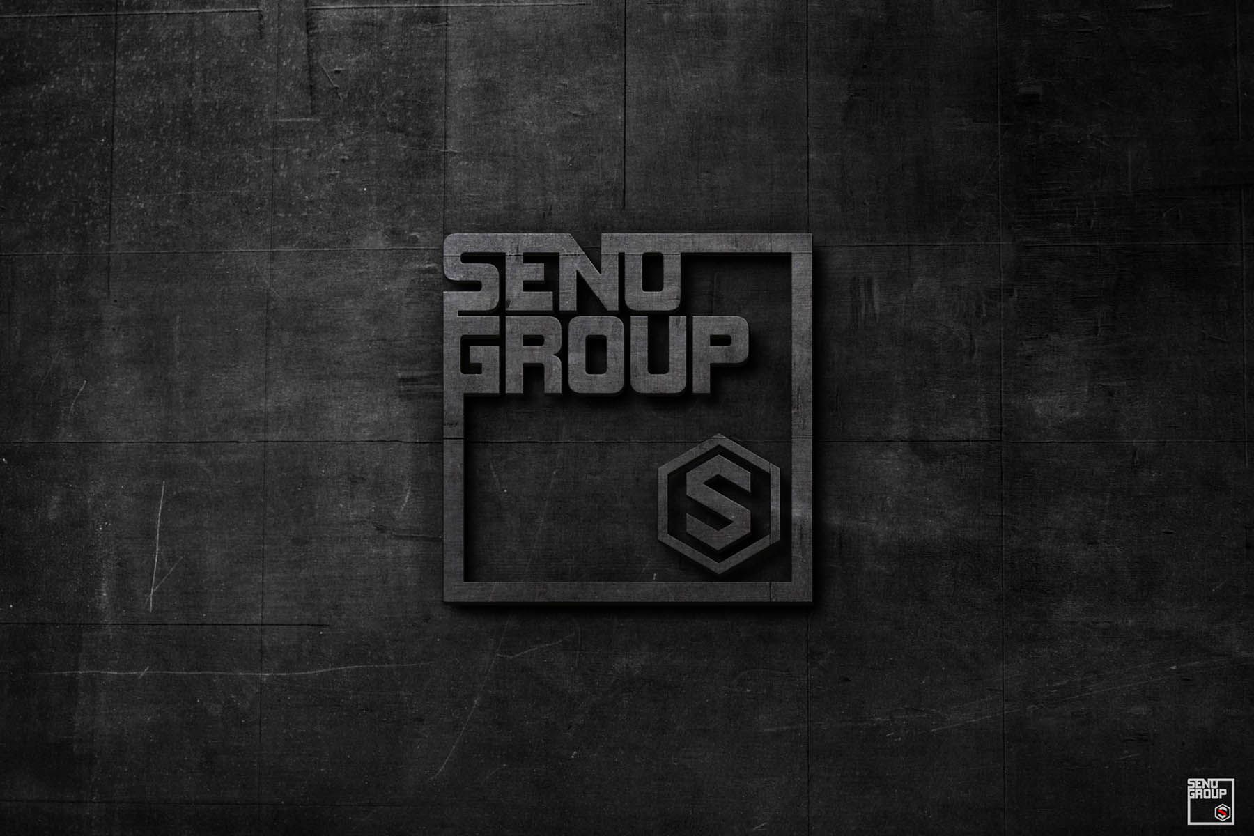Логотип для SENOGROUP - дизайнер seanmik