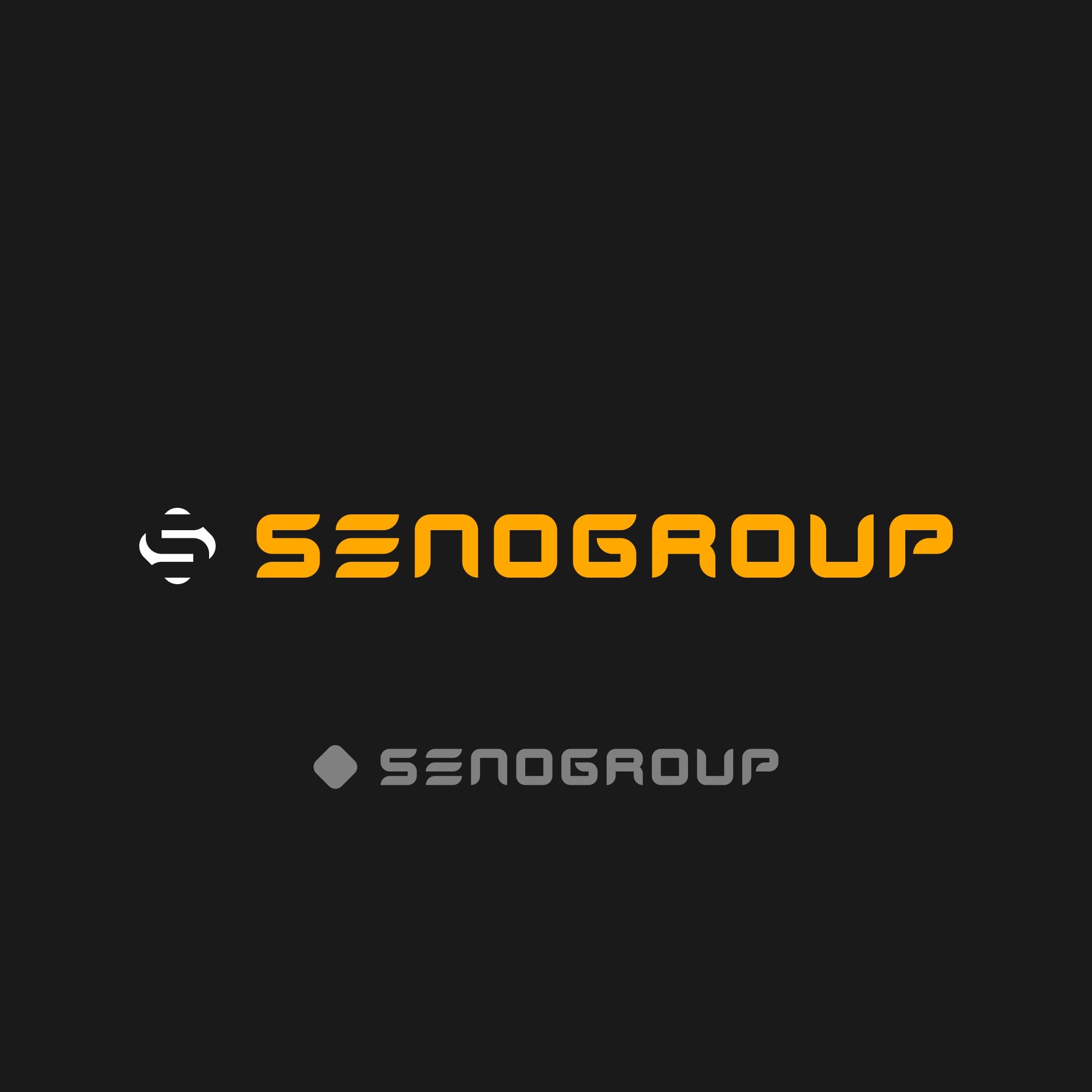 Логотип для SENOGROUP - дизайнер IlyaGrekov