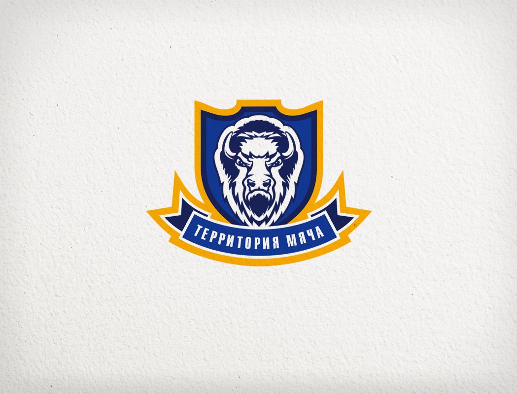 Логотип для Территория мяча - дизайнер art-valeri