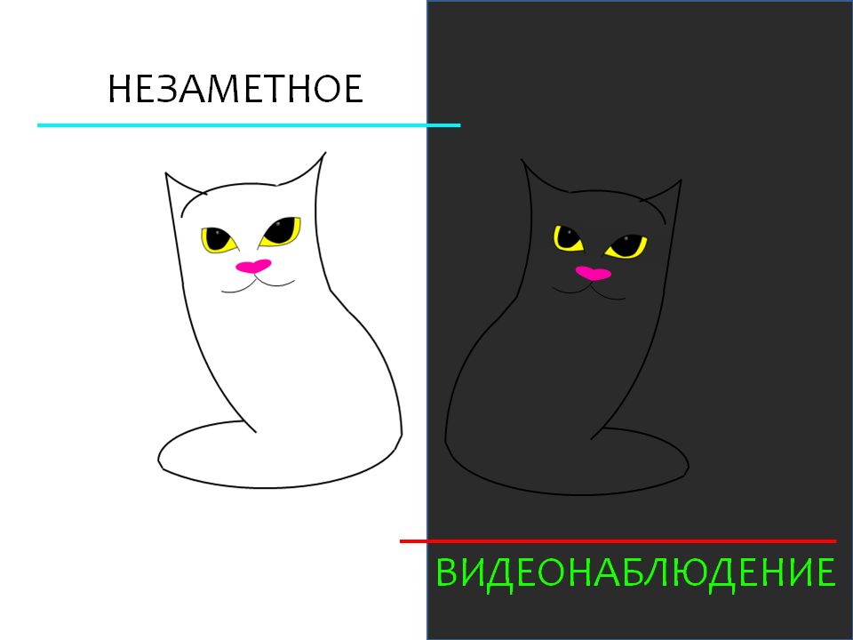 Логотип для обыграть кошку с глазами  - дизайнер tonja0304
