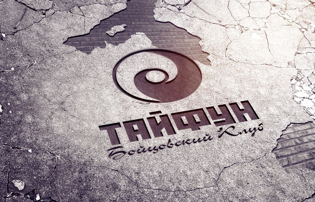 Логотип для Бойцовский клуб Тайфун - дизайнер dpanicov