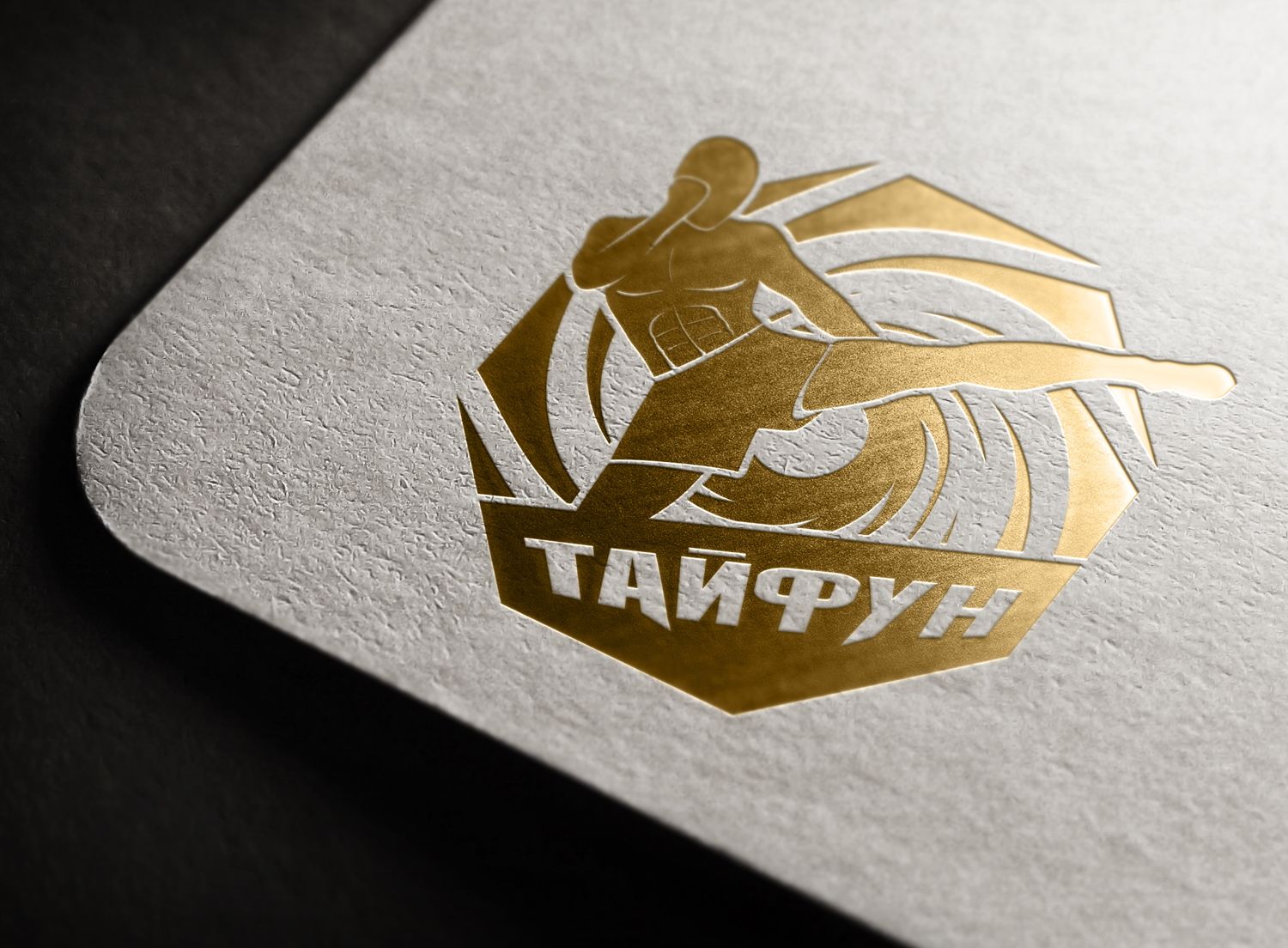 Логотип для Бойцовский клуб Тайфун - дизайнер Shrv