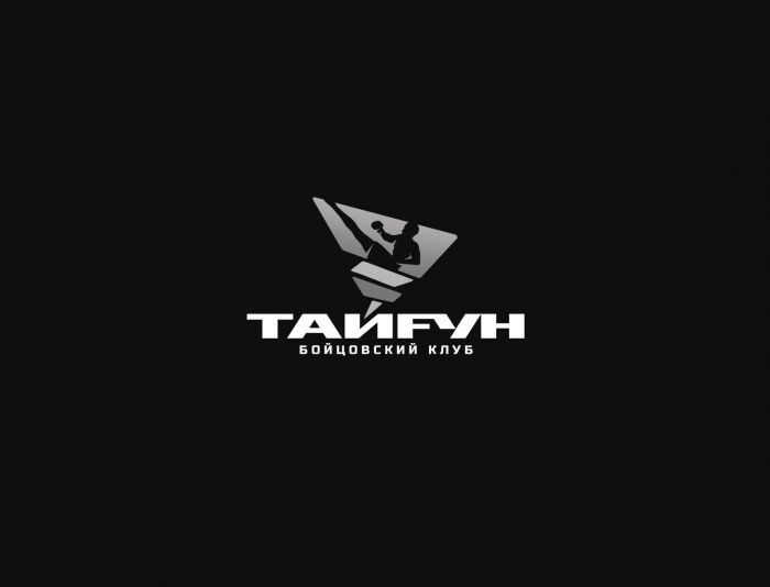 Логотип для Бойцовский клуб Тайфун - дизайнер webgrafika