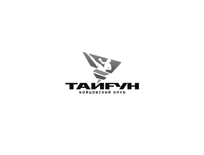 Логотип для Бойцовский клуб Тайфун - дизайнер webgrafika