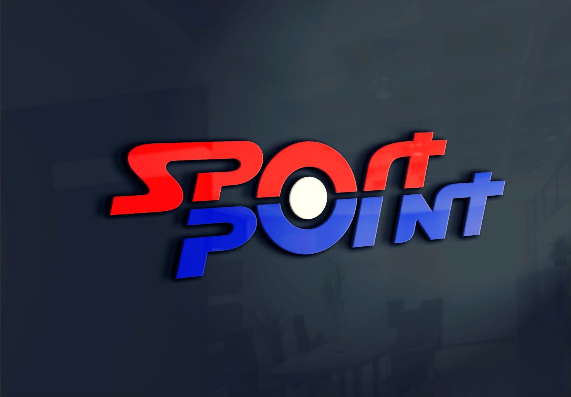 Брендбук для sport point - дизайнер PAPANIN