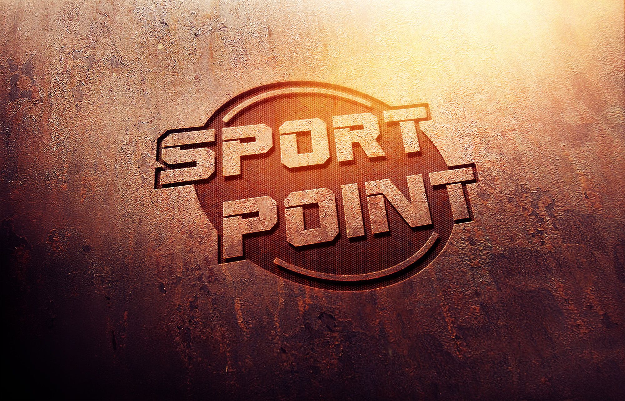 Брендбук для sport point - дизайнер serz4868