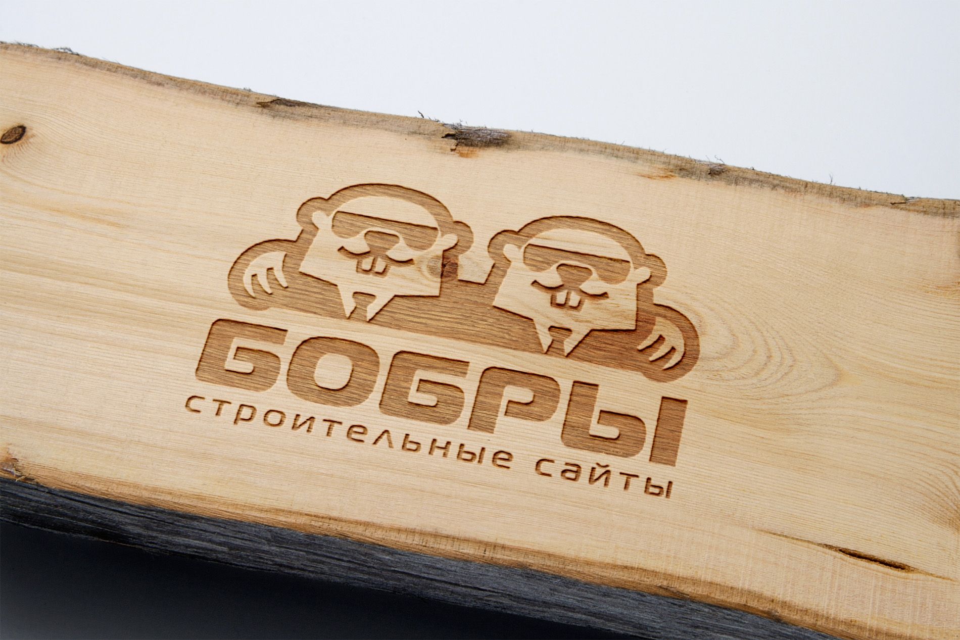 Логотип для Бобры - дизайнер Zheravin