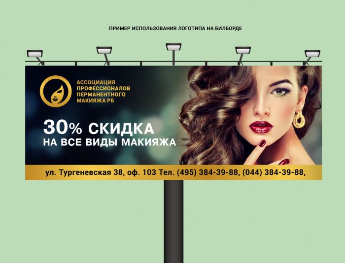 Лого и фирменный стиль для Асоциация профессионалов перманентного макияжа РБ - дизайнер shamaevserg