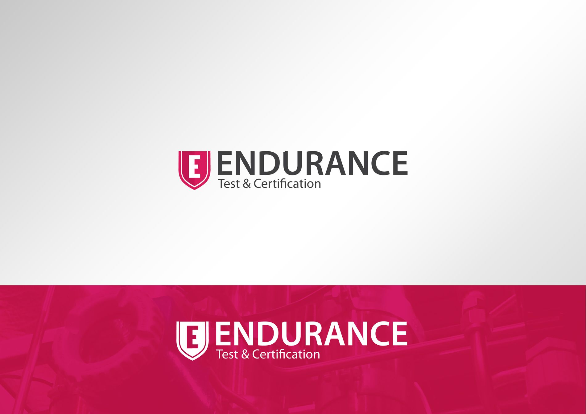 Логотип для Endurance. Test & Certification (rus. Эндьюренс) - дизайнер Bukawka