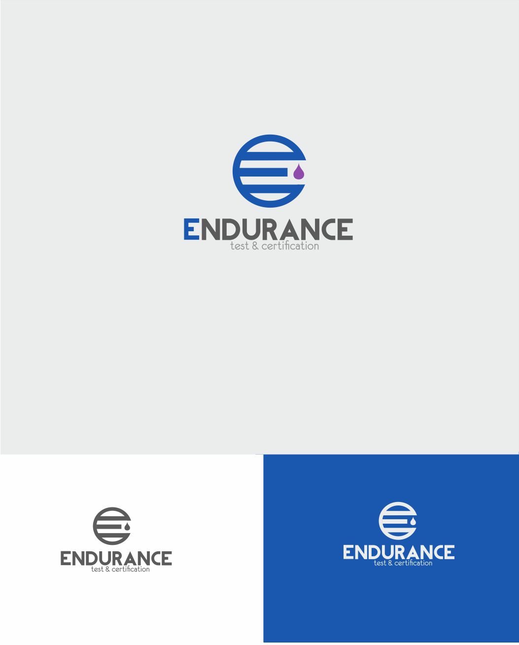 Логотип для Endurance. Test & Certification (rus. Эндьюренс) - дизайнер sv58