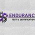 Логотип для Endurance. Test & Certification (rus. Эндьюренс) - дизайнер mnatalya