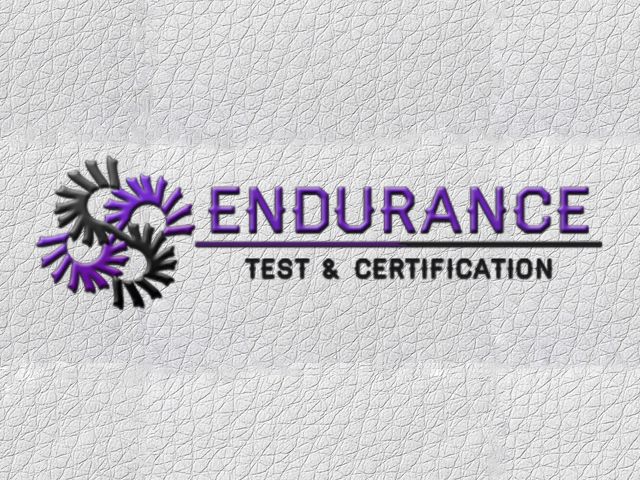 Логотип для Endurance. Test & Certification (rus. Эндьюренс) - дизайнер mnatalya