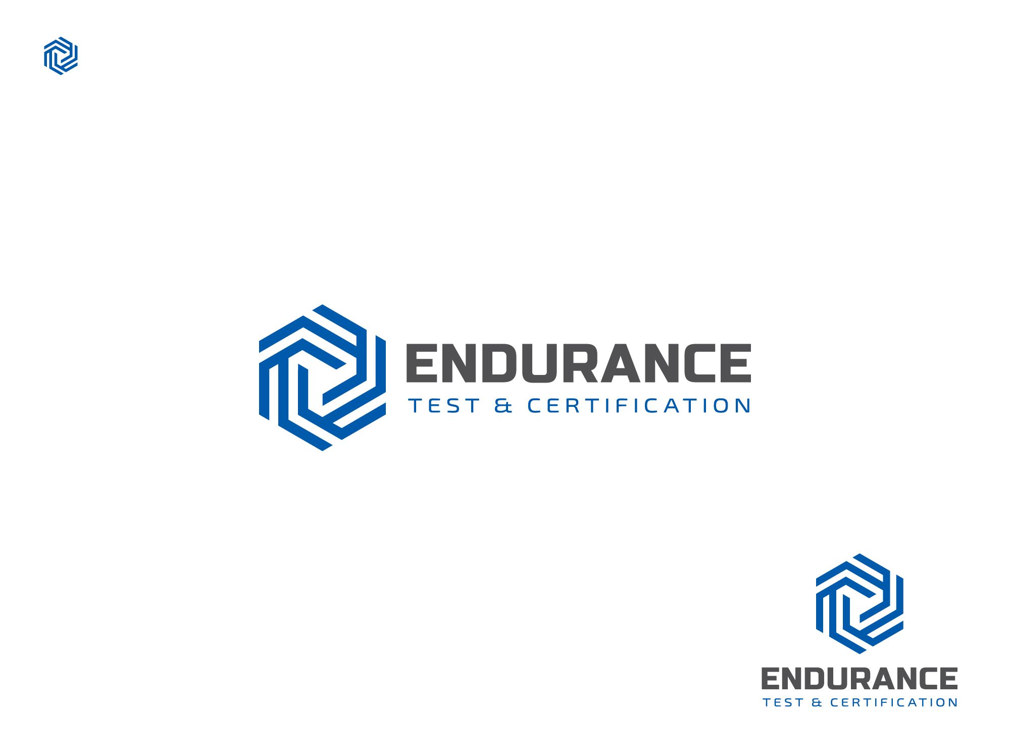 Логотип для Endurance. Test & Certification (rus. Эндьюренс) - дизайнер shamaevserg