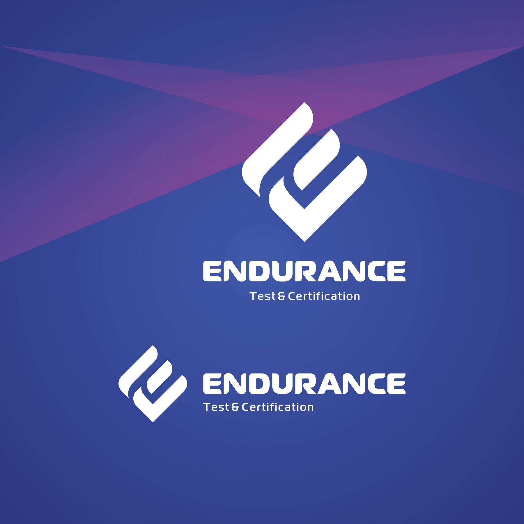Логотип для Endurance. Test & Certification (rus. Эндьюренс) - дизайнер Godknightdiz