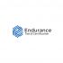 Логотип для Endurance. Test & Certification (rus. Эндьюренс) - дизайнер bilibob