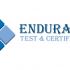 Логотип для Endurance. Test & Certification (rus. Эндьюренс) - дизайнер Ayolyan