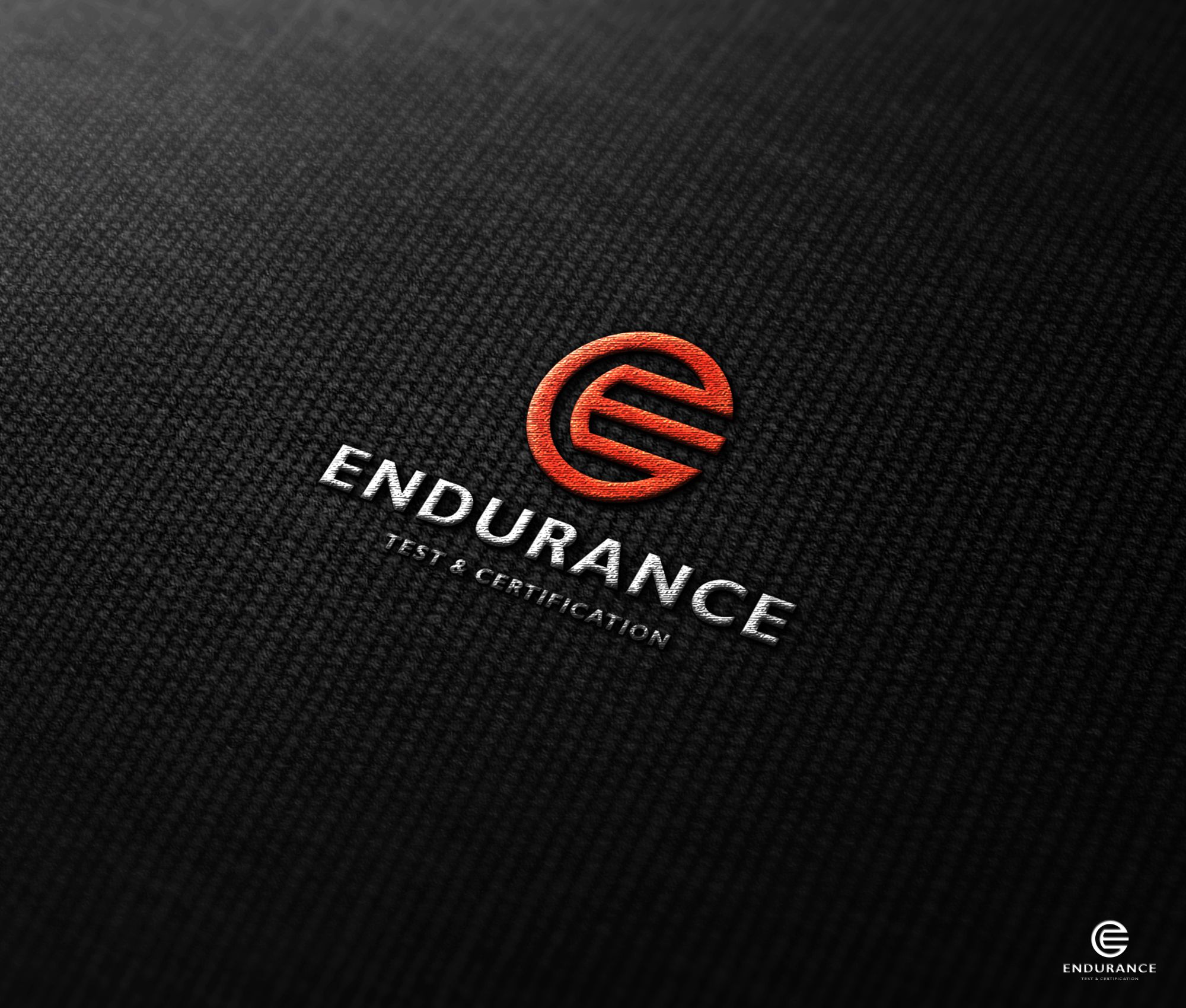Логотип для Endurance. Test & Certification (rus. Эндьюренс) - дизайнер seanmik