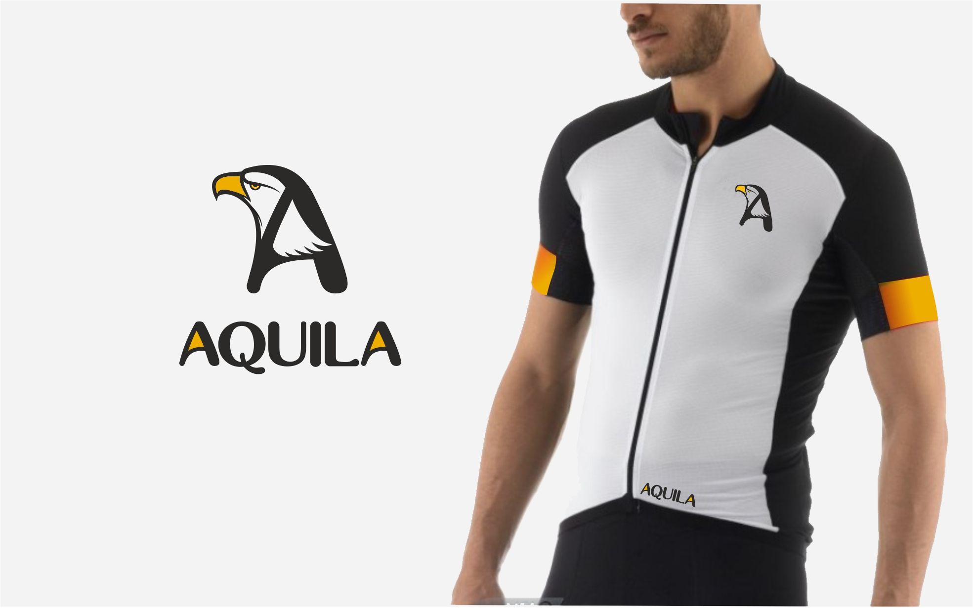 Логотип для Aquila - дизайнер pashashama