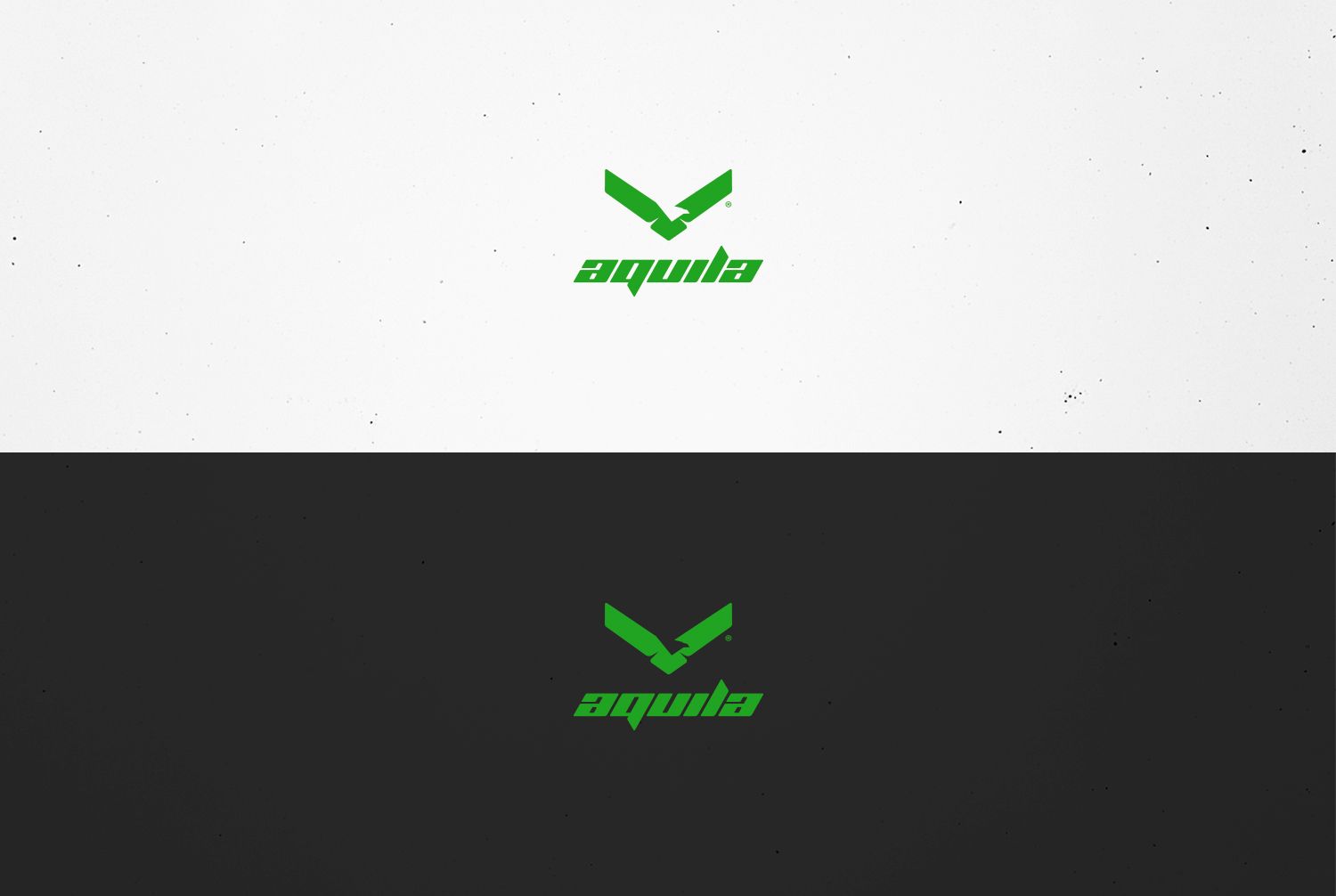 Логотип для Aquila - дизайнер BARS_PROD
