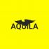Логотип для Aquila - дизайнер itunior