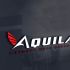 Логотип для Aquila - дизайнер SmolinDenis
