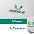 Логотип для Aquila - дизайнер mz777